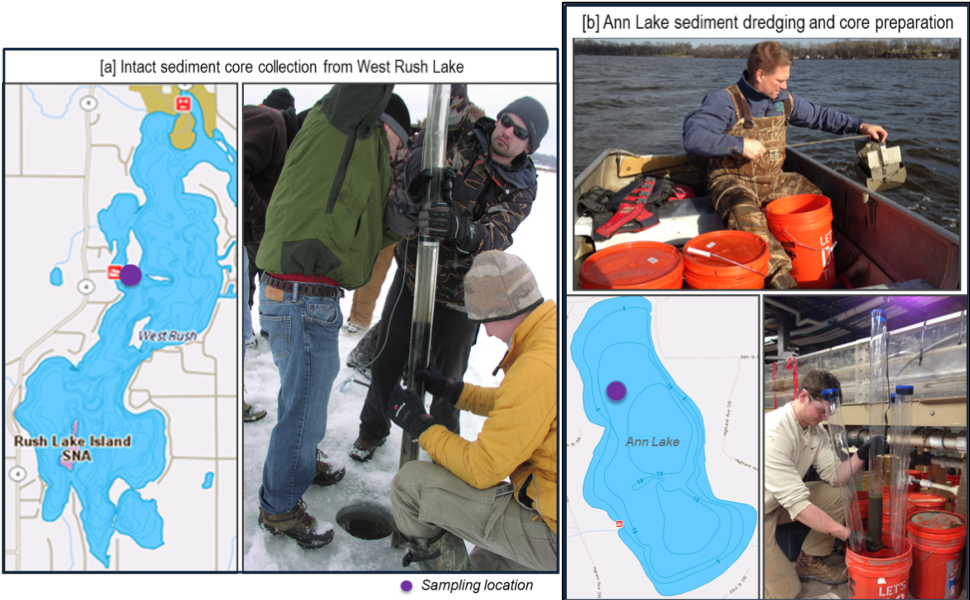 Figure 1. Sediment sample collection from (a) West Rush Lake; and (b) Ann Lake, MN.