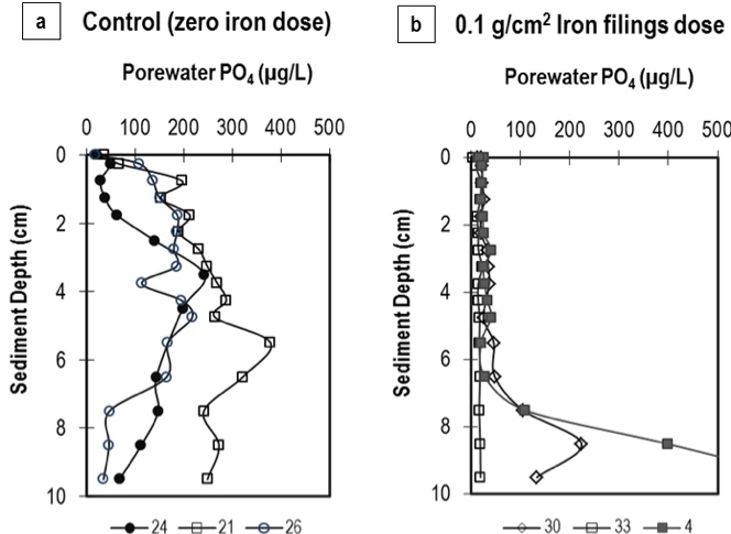 Sediment porewater phosphate (PO4) concentrations in Rush Lake sediments dosed with (a) zero iron (3 columns); and (b) 0.1 g Fe/cm2 (3 columns). Legend represents column labels.