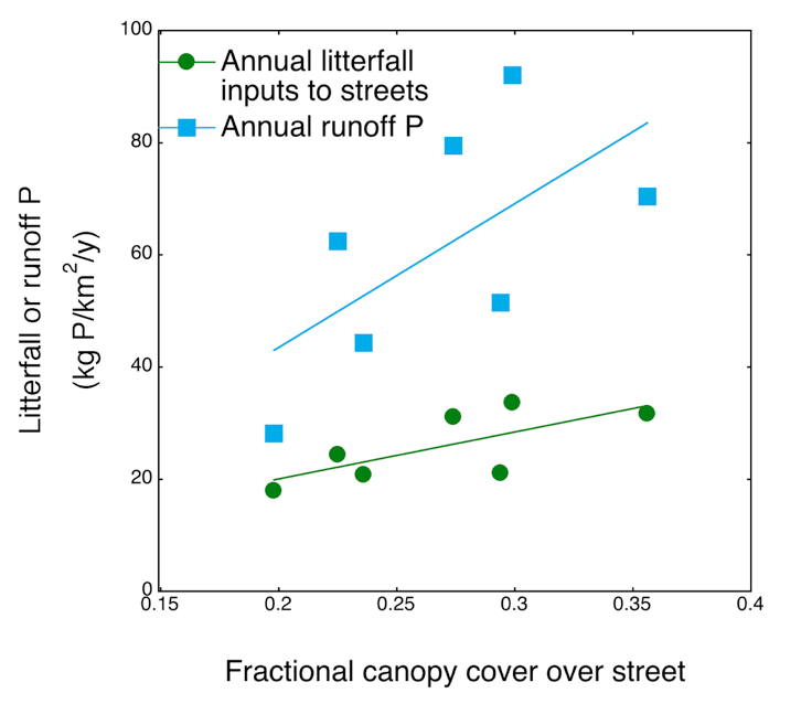 Figure 5. Relationships between fractional tree canopy cover over streets and estimated annual litterfall P inputs to streets and annual stormwater runoff P, on a watershed-area basis, for the CRWD monitored watersheds (each represented by a point). 